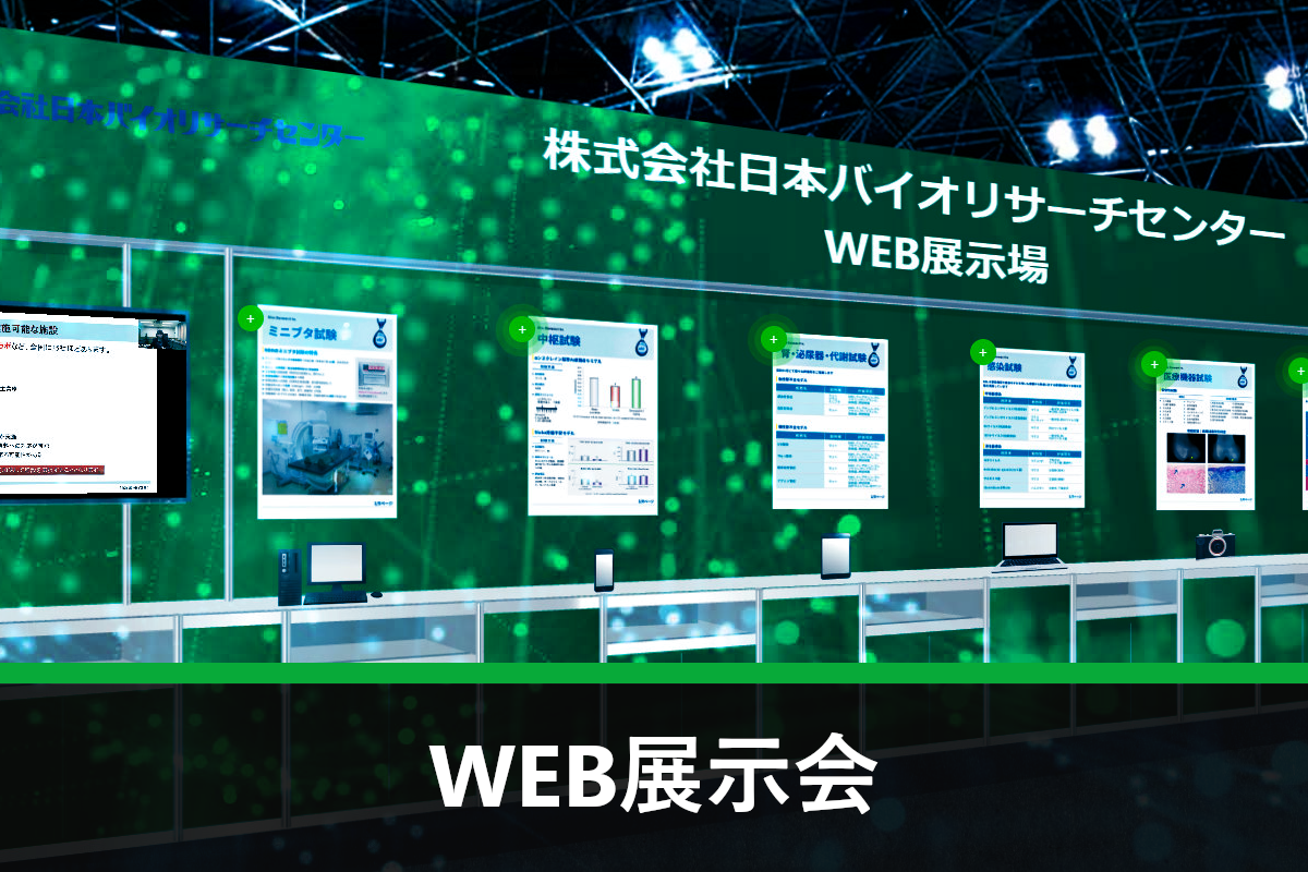 Web展示会